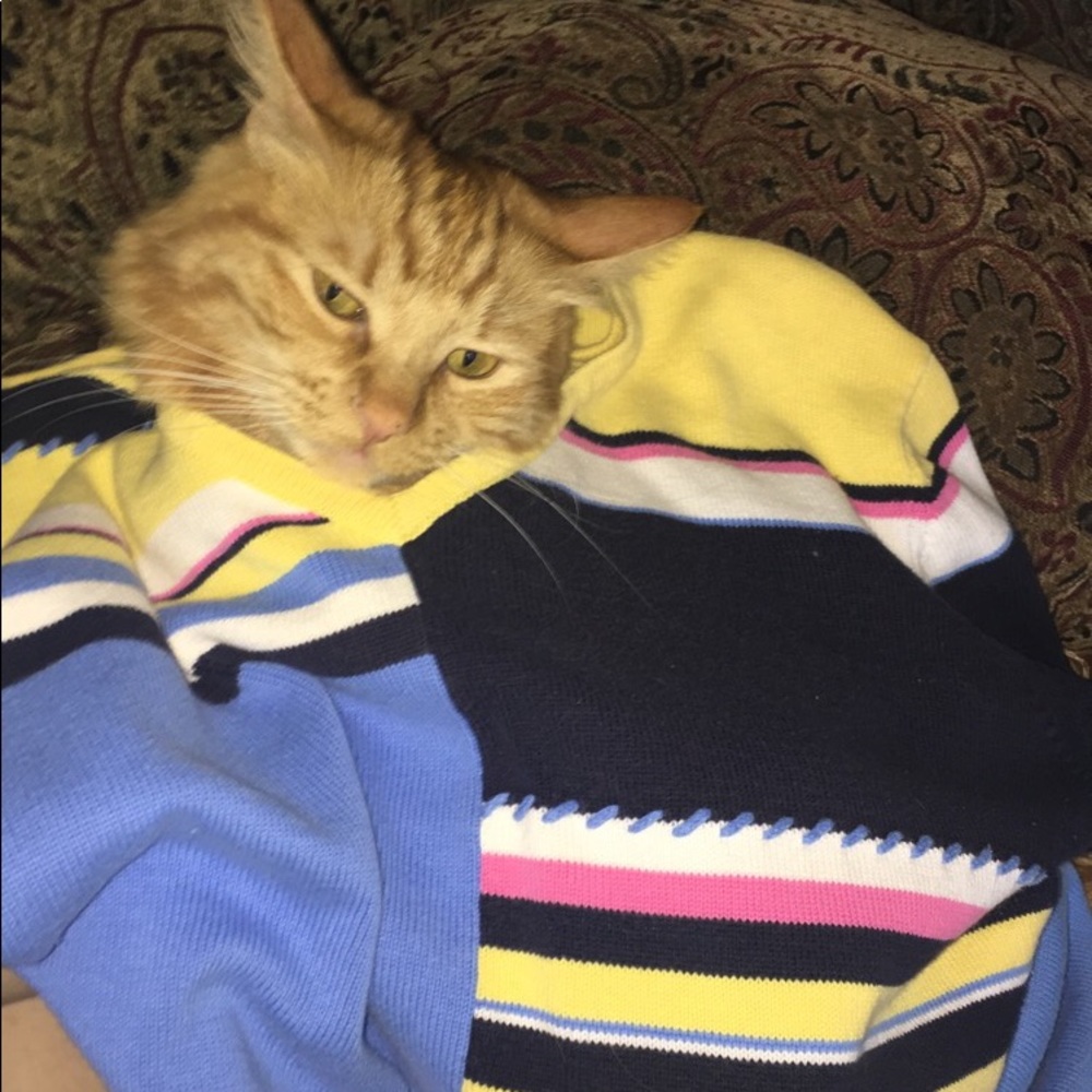 colorful sweater